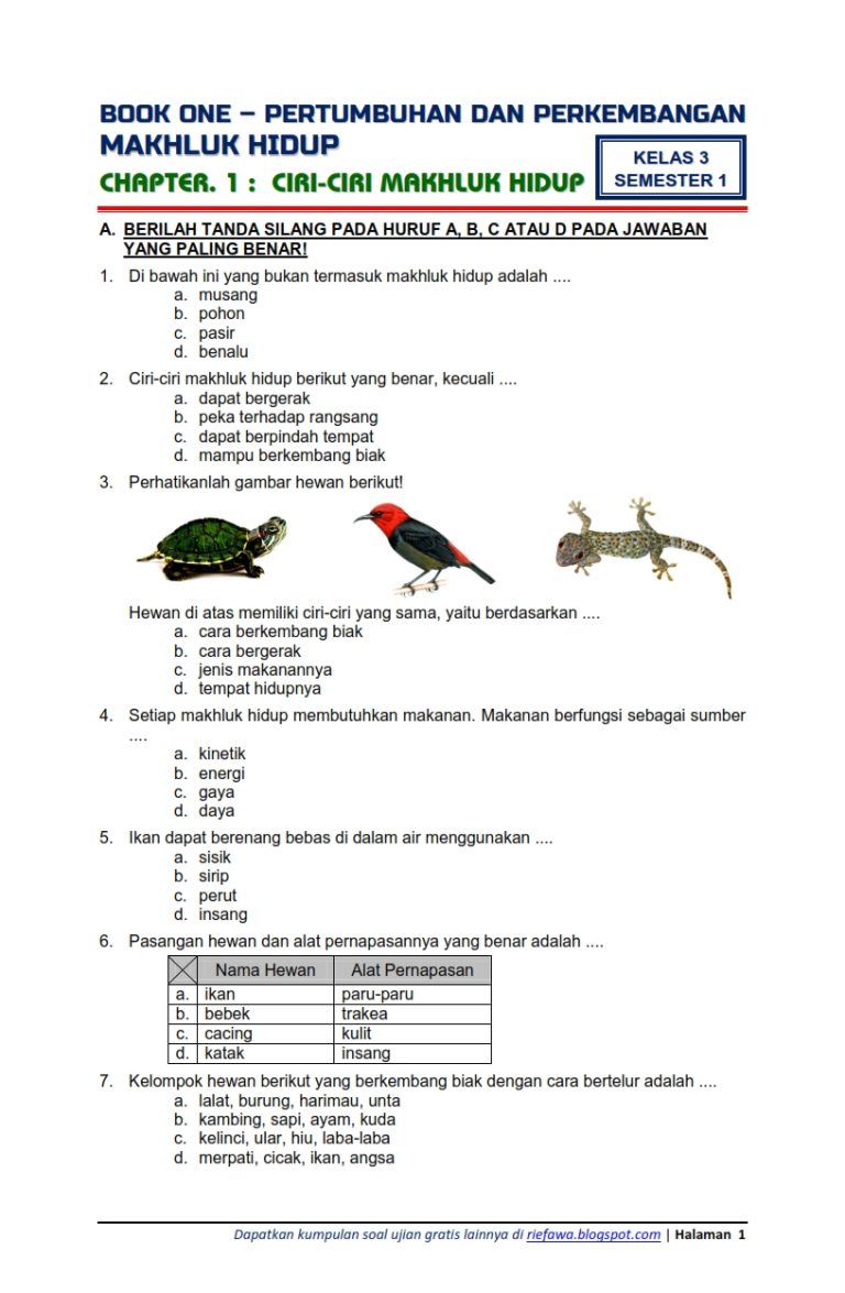 Kuasai Materi Tema 3 Kelas 3 SD Kurikulum 2019 Semester 1: Panduan Lengkap Download Soal Latihan dan Kunci Jawaban