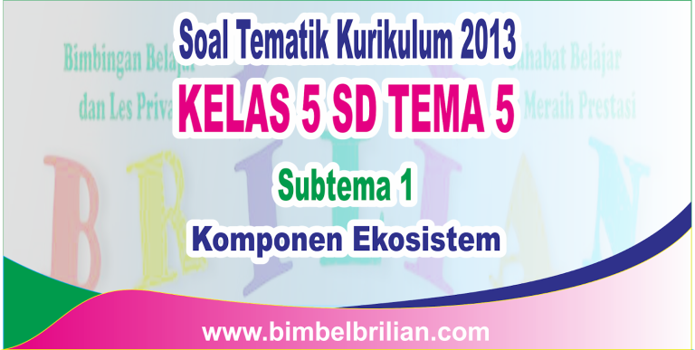 Kunci Sukses Belajar: Download Soal Tema 5 Kelas 1 dan Kunci Jawaban untuk Membangun Pemahaman Mendalam