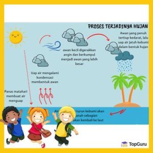 5 Contoh Soal Essay Proses Terjadinya Hujan Kelas 3 SD yang Wajib Tahu Guru dan Orang Tua