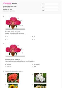 5 Contoh Soal Evaluasi tentang Bunga Nasional untuk Kelas 3 SD yang Wajib Diketahui