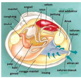 Ternyata Ini Bocoran Soal Bahasa Sunda Kelas 4 Yang Paling Sering Muncul di Ujian