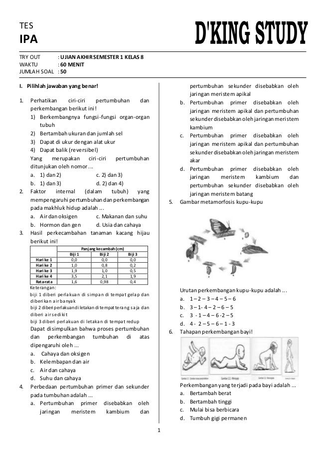 Wajib Tahu Kumpulan Soal UTS IPA Kelas 8 Semester 1 Kurikulum 2013 Agar Nilai Maksimal